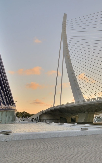 especializado en Derecho Procesal, Civil, Penal y Económico